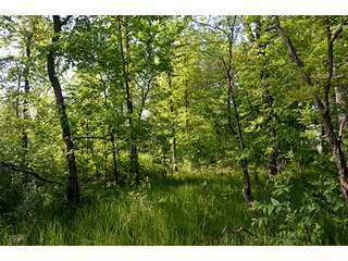 Property photo 13 - LAND AUCTION - 215+/- ACRES OFFERED IN 6 TRACTS IN VAN WERT COUNTY, OHIO